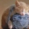 knittingagain