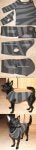 2021/2/19/t1-324957-diy_dog.jpg